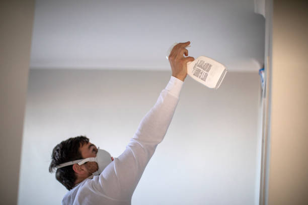 Best Commercial Mold Remediation in Basking Ridge, NJ